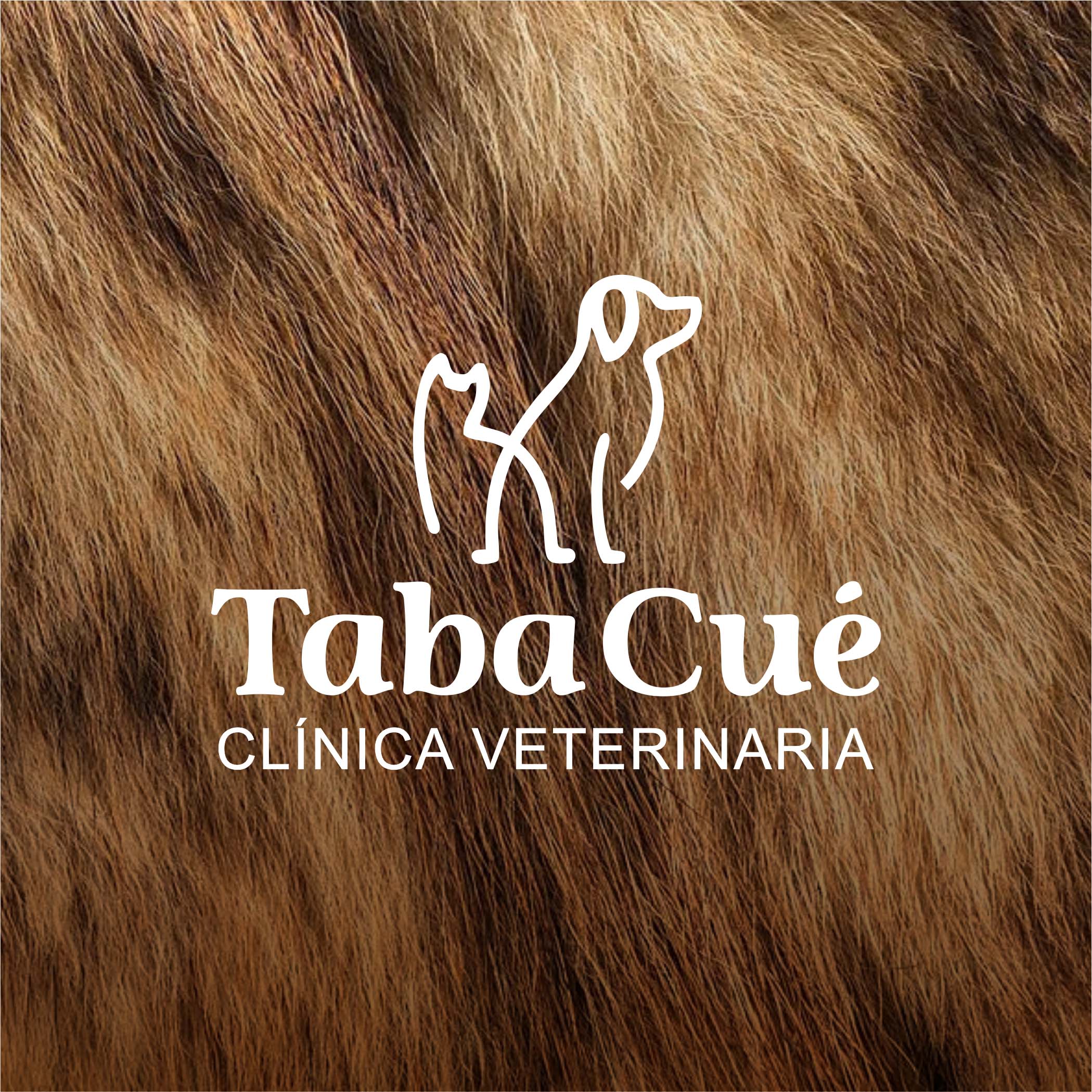 TabaCué mcepa.com design